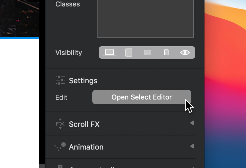 option-select-button